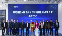 华熙生物：短期波动下的长期价值锚点|界面新闻