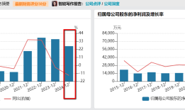 财说|2.61亿元值吗？雪天盐业跨界收购新能源企业|界面新闻 · 证券