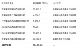 更换审计所遭独董质疑，宝馨科技年报关口过得去吗？|界面新闻 · 证券