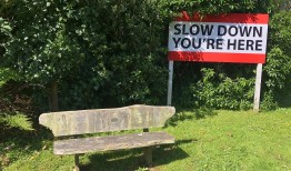 南十字星照亮天地|界面新闻 · 旅行