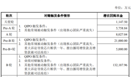 复牌即涨停、新东家称不会“借壳”，天普股份和中昊芯英在下一盘怎么样的棋？|界面新闻 · 证券