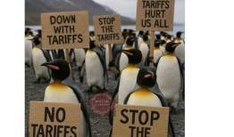 美国商务部长：一个都不能少，“企鹅岛”也必须征关税|界面新闻 · 天下