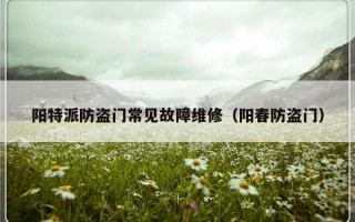 阳特派防盗门常见故障维修（阳春防盗门）