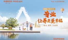 平安养老险三维展示科技硬实力，书写数字金融新篇章|界面新闻