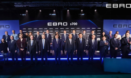 全国两会人大发言人都点赞奇瑞西班牙项目，是何来头？|界面新闻