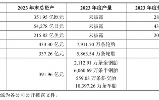 年收超300亿元，“国内轮胎一哥”中策橡胶冲刺沪市主板|界面新闻
