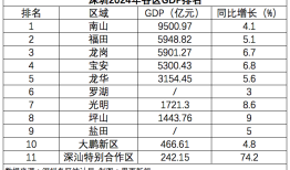 深圳各区2024年GDP：龙岗甩掉宝安直追福田，罗湖增速全市垫底|界面新闻