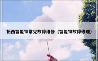 拓西智能锁常见故障维修（智能锁故障修理）