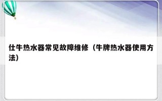 仕牛热水器常见故障维修（牛牌热水器使用方法）