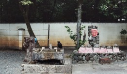 首席体验官｜京都清水青龙酒店，在清水寺下，改造一间旧校舍|界面新闻 · 旅行