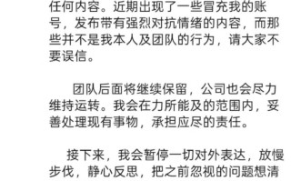 陈震发文称停更反思，因偷税被追缴并罚款超247万元|界面新闻 · 汽车