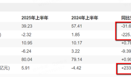 财说| 南都电源半年亏2.3亿背后藏着这些疑问|界面新闻 · 证券