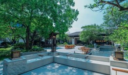 阳光人家·佘山：为何成为子女心中的“放心之选”？|界面新闻