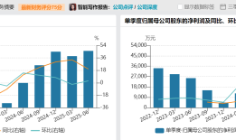 财说| 高增长叙事还能讲多久？锦江航运运力扩张存隐忧|界面新闻 · 证券