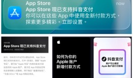 App Store 等苹果服务已正式支持用户使用抖音支付|界面新闻