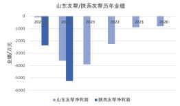 康惠制药新老板第一刀砍向曾炒作减肥药的子公司|界面新闻