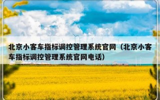 北京小客车指标调控管理系统官网（北京小客车指标调控管理系统官网电话）