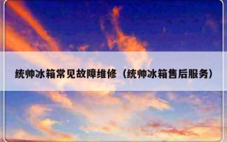 统帅冰箱常见故障维修（统帅冰箱售后服务）