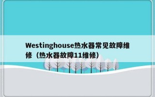 Westinghouse热水器常见故障维修（热水器故障11维修）