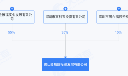 【深度】左手地产，右手金融：金雅福的野心与坠落|界面新闻