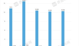 被证监会立案的“假发大王”瑞贝卡遇到了什么麻烦？|界面新闻