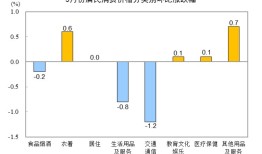 国家统计局：5月份居民消费价格同比下降0.1%|界面新闻 · 快讯