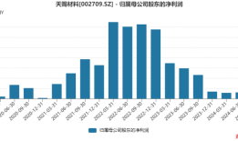 “电解液一哥”天赐材料业绩持续下滑，牵手世界500强能破局北美市场吗？|界面新闻 · 证券