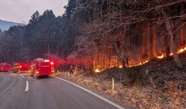 日本50年来最严重山火持续，或被定为“特大灾害”|界面新闻 · 天下