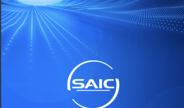 一季度净利30.2亿 同比增长11.4% 上汽发布2024年年报及2025年一季报|界面新闻