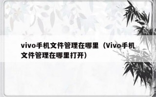 vivo手机文件管理在哪里（Vivo手机文件管理在哪里打开）
