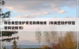 和合美壁挂炉常见故障维修（和美壁挂炉按钮官网说明书）