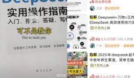 披着DeepSeek外衣的骗局盯上了普通用户｜315特别报道|界面新闻 · 科技