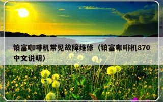 铂富咖啡机常见故障维修（铂富咖啡机870中文说明）