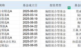 年内九成新基金赚钱了，“最牛”涨超60%，贾成东跳槽后首秀垮台|界面新闻