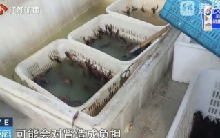 南京网红店“兄弟龙虾”用酸臭溶液洗虾、多日不换水，市场监管部门已责令其停业整改|界面新闻