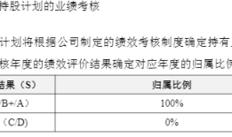 员工持股计划“稳军心”？神州数码转型“失据”下三大风险待解|界面新闻 · 证券