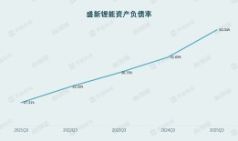 财说丨 扭亏昙花一现，盛新锂能多项偿债能力指标亮红灯|界面新闻 · 证券