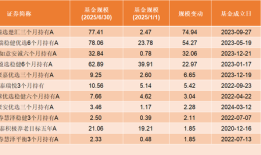 【深度】FOF“豹变”：重塑资产配置之路|界面新闻