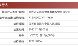 万达商管等被执行1.7亿余元，此前刚赎回一座万达广场|界面新闻 · 地产