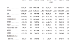 宁德时代正式向港交所递交招股书 募集资金将重点用于海外产能扩张|界面新闻 · 证券