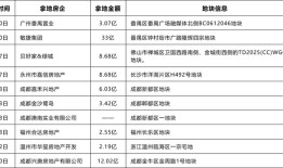 民营房企重返土拍市场，多家“黑马”竞逐热点城市核心地块|界面新闻 · 地产