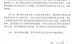 西藏日喀则就烟花秀事件成立调查组，始祖鸟、蔡国强致歉|界面新闻 · 中国