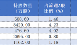 重仓寒武纪浮盈超50亿？知名游资章建平中报还持有这些股票|界面新闻