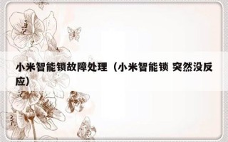 小米智能锁故障处理（小米智能锁 突然没反应）