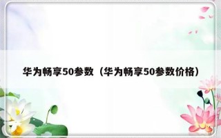 华为畅享50参数（华为畅享50参数价格）