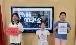 6559万元爱心资金背后的教育温度：尚赫公益数据解码企业魂 公益心|界面新闻