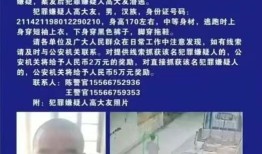 辽宁绥中县发生重大刑案，警方发布协查通报|界面新闻 · 快讯