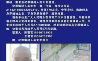 辽宁绥中县发生重大刑案，警方发布协查通报|界面新闻 · 快讯