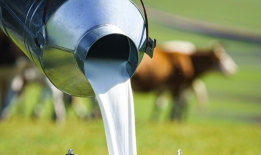 从一棵草、一杯奶到一代人，伊利如何助力乡村全面振兴？|界面新闻