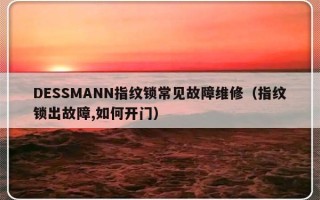 DESSMANN指纹锁常见故障维修（指纹锁出故障,如何开门）